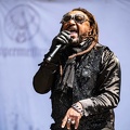 20190719 Skindred 31 bs TheaDrexhage