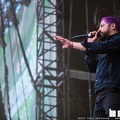 20230617 Zebrahead 838 bs TheaDrexhage
