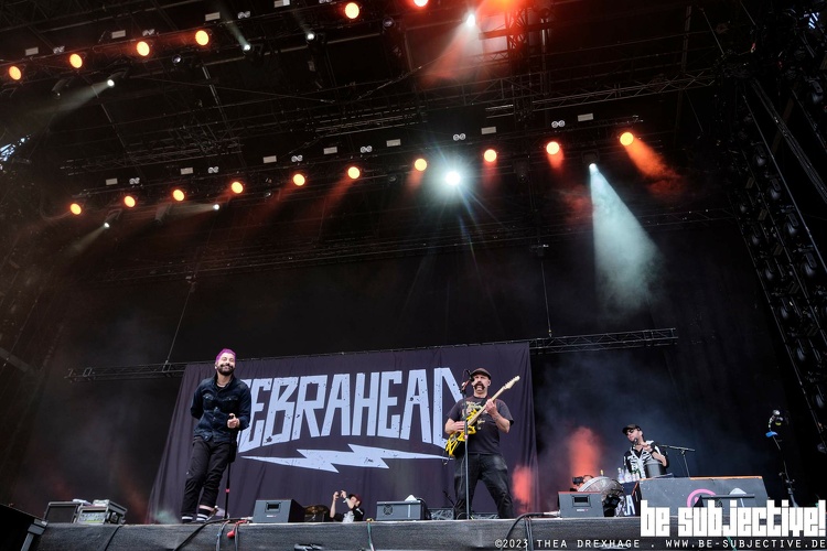 20230617 Zebrahead 862 bs TheaDrexhage