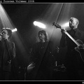 DL IMG 3681