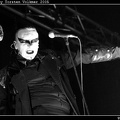 IMG 8591