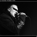 IMG 8613