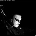 IMG 8617