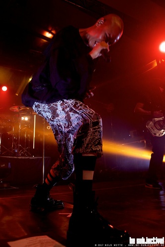 20170225 SkunkAnansie 007