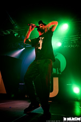 20170303 AntilopenGang 022