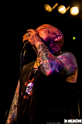 20180605 RoseTattoo 023 bs OlafRaewel