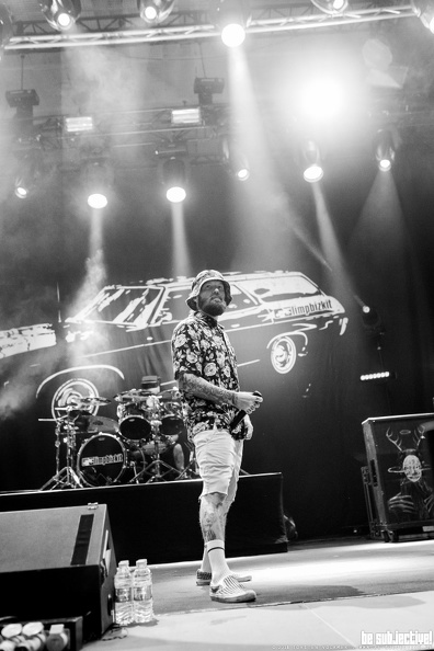 20180815_LimpBizkit_006_by_TorstenVolkmer.jpg