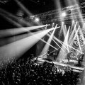 20190201 FloggingMolly 39 bs TheaDrexhage