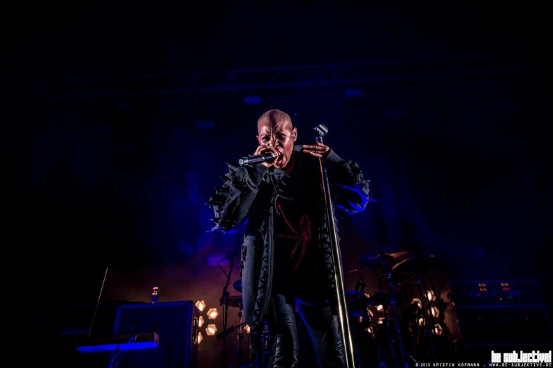 20190723_SkunkAnansie_22_bs_KristinHofmann.JPG