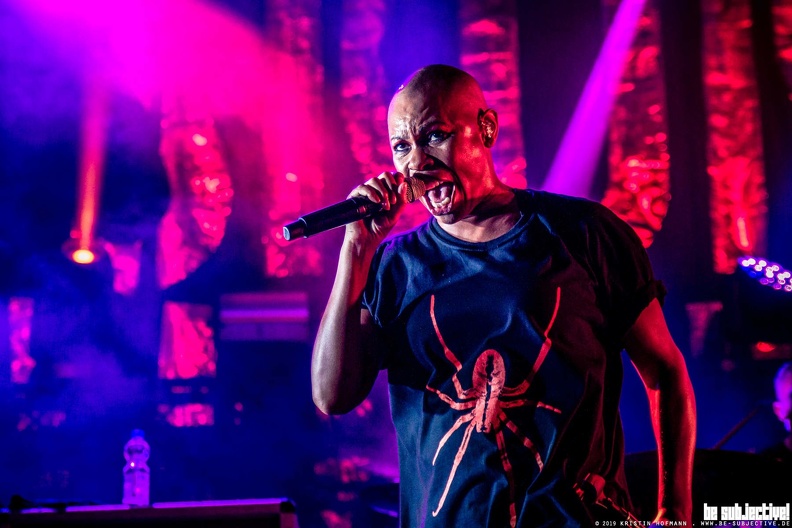 20190723_SkunkAnansie_26_bs_KristinHofmann.JPG