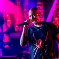 20190723 SkunkAnansie 26 bs KristinHofmann