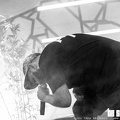 20210807 Frittenbude 06 c TheaDrexhage