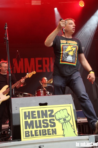 20210820 Hammerhai 17 bs MichaelLange