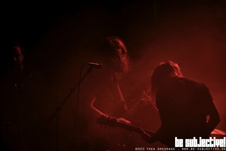 20231021 Spurv bs TheaDrexhage3499