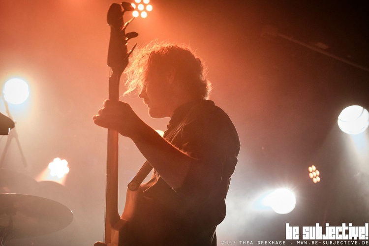 20231021 Spurv bs TheaDrexhage3501