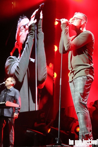 20231206 Camouflage31 bs MichaelLange