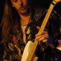 20260324 Kingzebra 03 bs MichaelLange