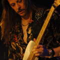 20260324 Kingzebra 04 bs MichaelLange