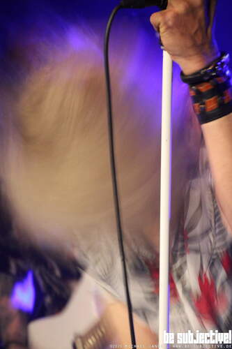 20260324 Kingzebra 12 bs MichaelLange