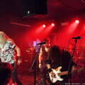 20260324 Kingzebra 24 bs MichaelLange
