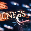 20260717 EndlessWellness bs KristinHofmann 15