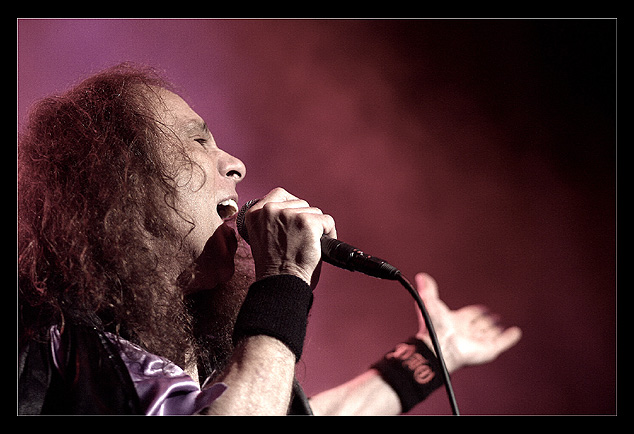 dio7