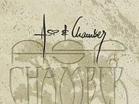 ASP + Chamber: „Once In A Lifetime“ – die Akustiktour Cover: