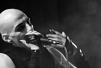 Foto: Peggy Graßler