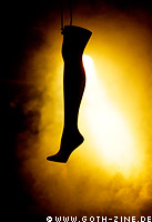 Foto: Kristin Hofmann