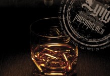 Poisonblack: Lyijy (2013)