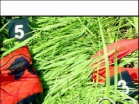 End: Ein Tag am Meer (2005)