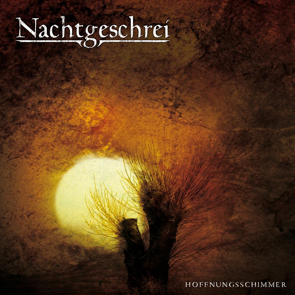 Nachtgeschrei: Hoffnungsschimmer (2008) Book Cover