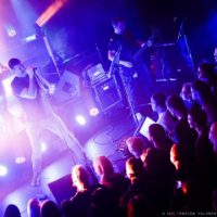 Samsas Traum (Foto: Torsten Volkmer bs! 2015)