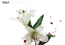 The Cult: Hidden City (2016)
