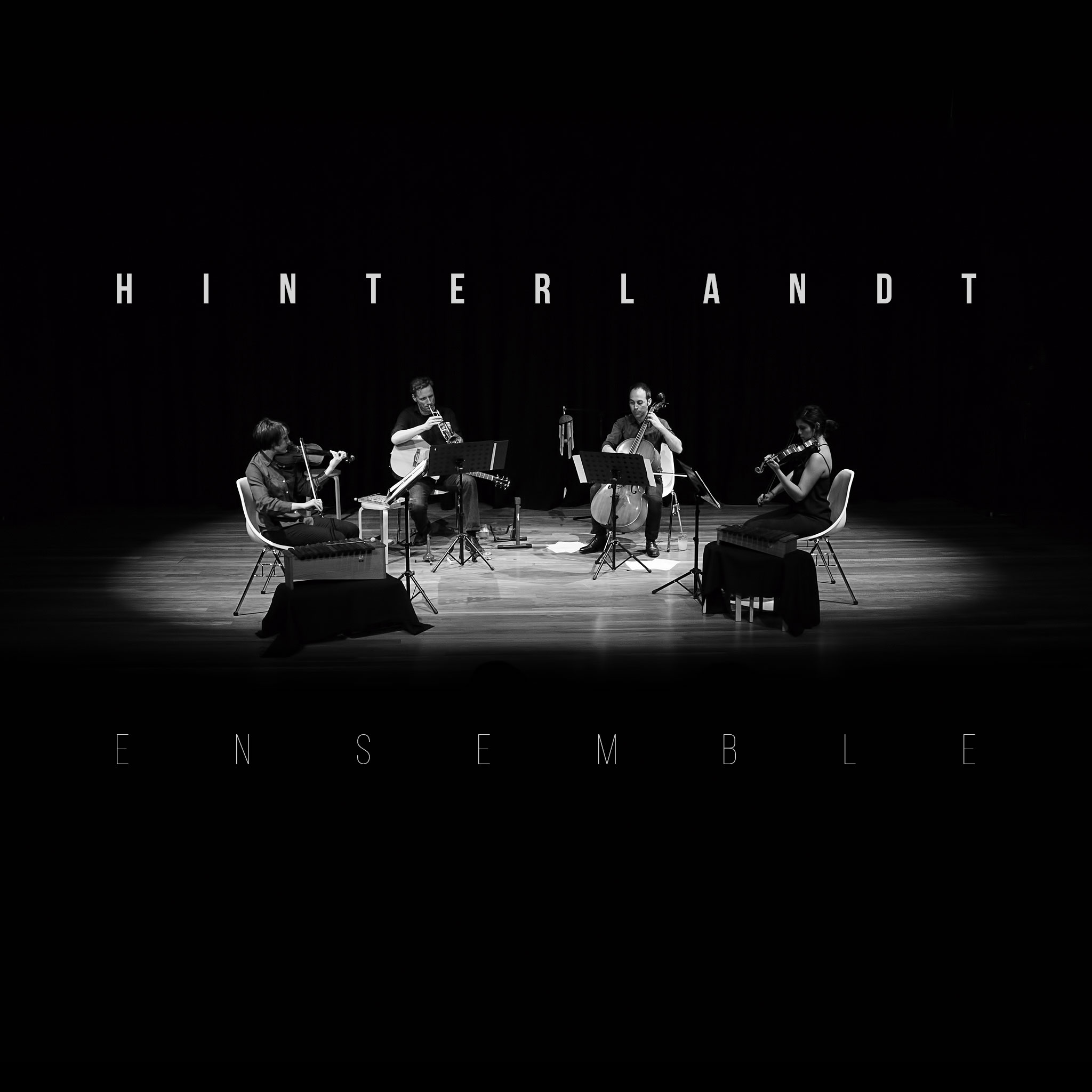 Hinterlandt: Ensemble (2016) Book Cover