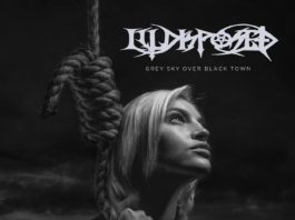 Illdisposed: Grey Sky Over Black Town (2016)