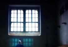 De/Vision: 13 (2016)