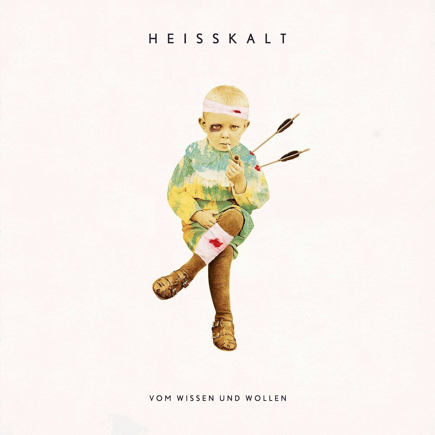 Heisskalt: Vom Wissen und Wollen (2016) Book Cover