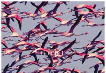 Deftones: GORE Tour im Frühjahr (2017)