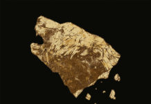 Crippled Black Phoenix: Bronze (2016)