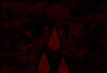 AFI: The Blood Album (2017)