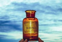 Blackfield: Blackfield V (2017)
