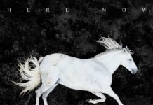 Dool: Here Now, There Then (2017)