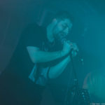 Blassfuchs (Foto: Rune Fleiter bs! 2018)