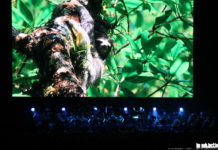 Review: Tierisch gut – Planet Erde 2, eine Erde & viele Welten (09.03.2018, Hannover)