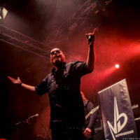 Nervenbeisser (Foto: Kristin Hofmann bs! 2019)