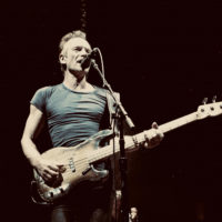 Sting (Foto: Hannover Concerts, Pressefreigabe)