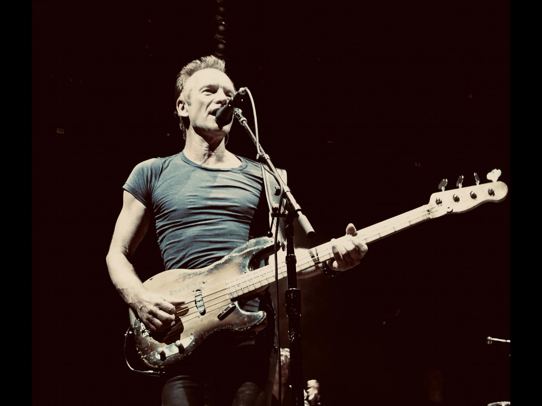 Sting (Foto: Hannover Concerts, Pressefreigabe)