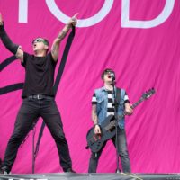 Betontod (Foto: Thea Drexhage bs! 2019)