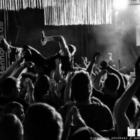 Donots (Foto: Thea Drexhage bs! 2019)